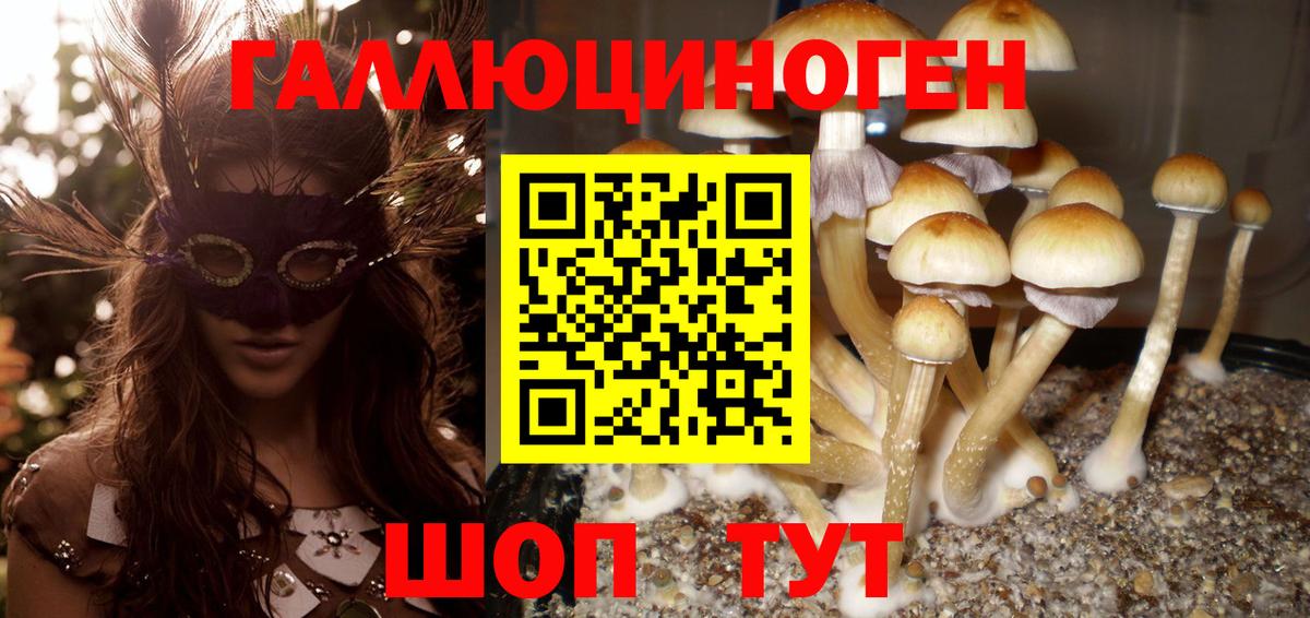 Псилоцибиновые грибы прущие грибы  Галлюциногенные грибы мухоморы  Зеленокумск  Вход с VPN 