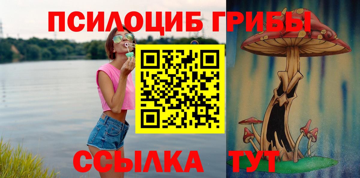 Псилоцибиновые грибы прущие грибы Зеленокумск